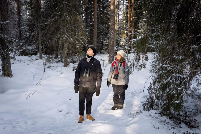 Aktiivit kertoivat Aamulehdessä mihin suojelua tarvitaan
