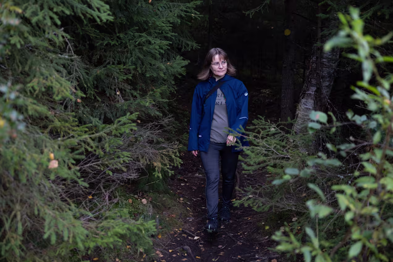 Tampere on lisäämässä suositun ulkoilumetsän suojelua – ei riitä, luonnon­suojelijat sanovat